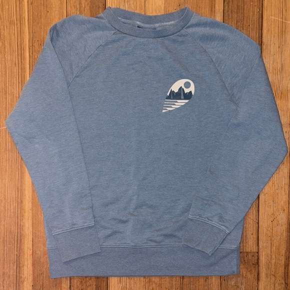 Patagonia Other - Patagonia Blue Graphic Sweatshirt
